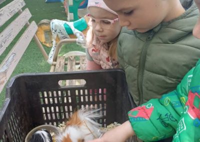 állatok világnapja1