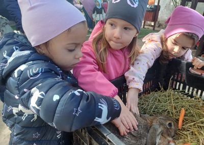 állatok világnapja2