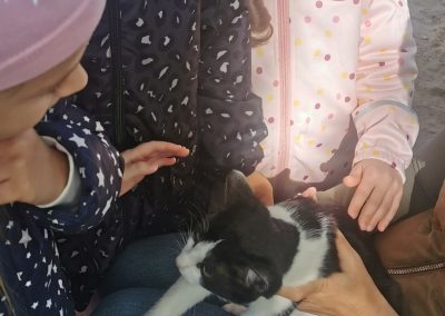 állatok világnapja3