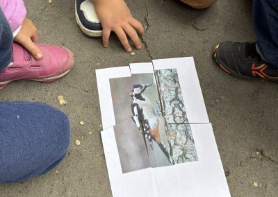 560697579_31803026332646064_2735210481137771678_n