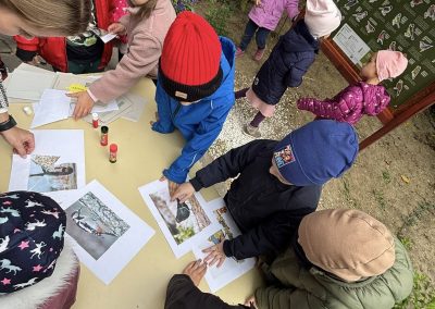 560742294_31803027589312605_629606878438793499_n