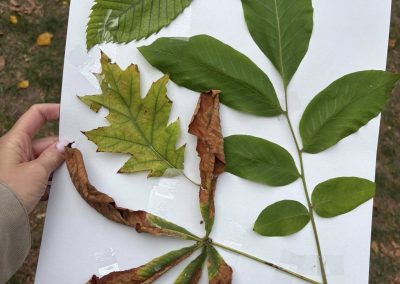 561167266_31803037705978260_546170991277188287_n