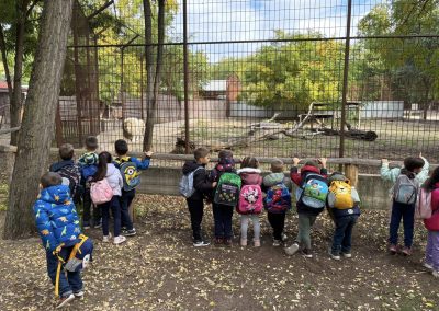 563616832_31882967567985273_1732919073229202924_n