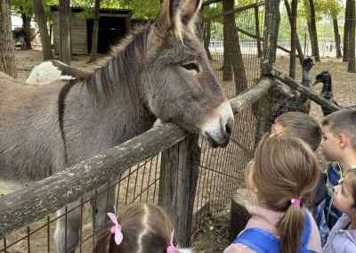 565072575_31882992691316094_7144211853858863713_n