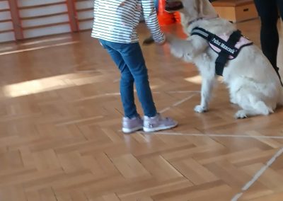 att.UWqRPXfMMAh4XgpaXbncdHqsyZO0RpkL_ADGmXH0I3k